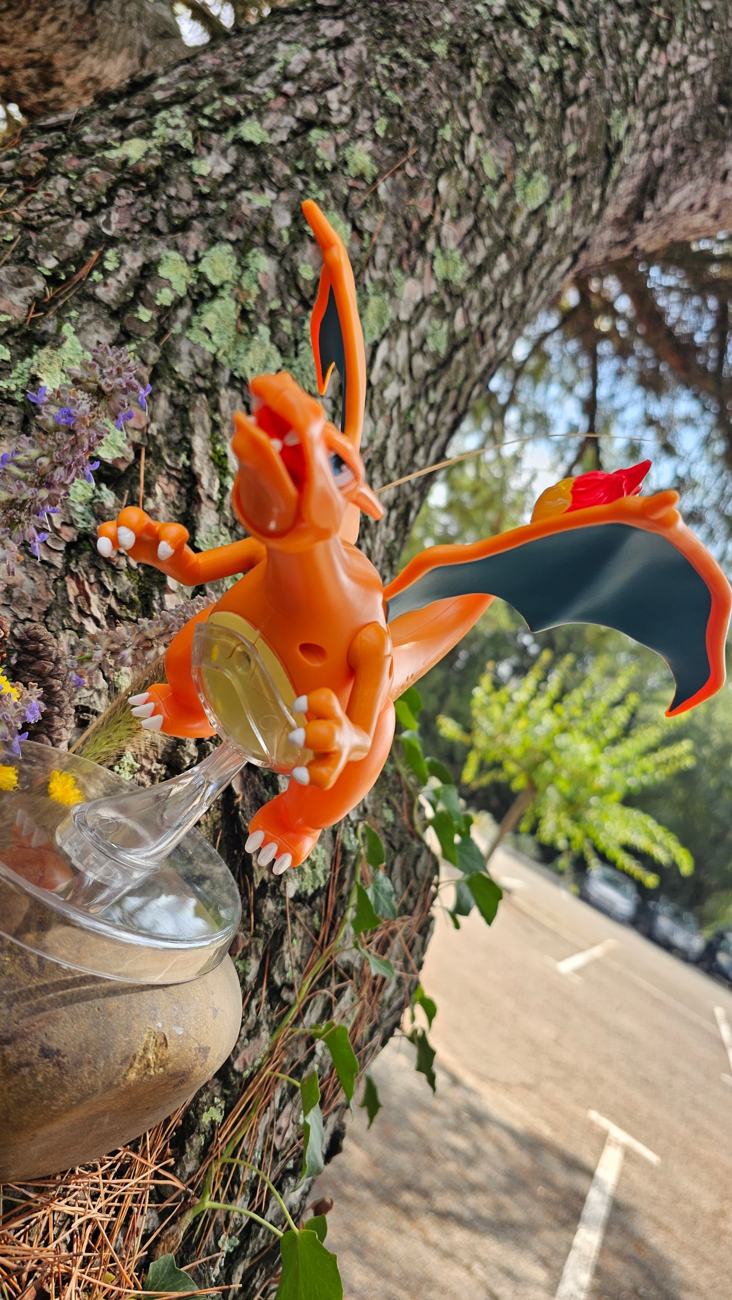 Super grande figurine Pokemon Nintendo Dracaufeu