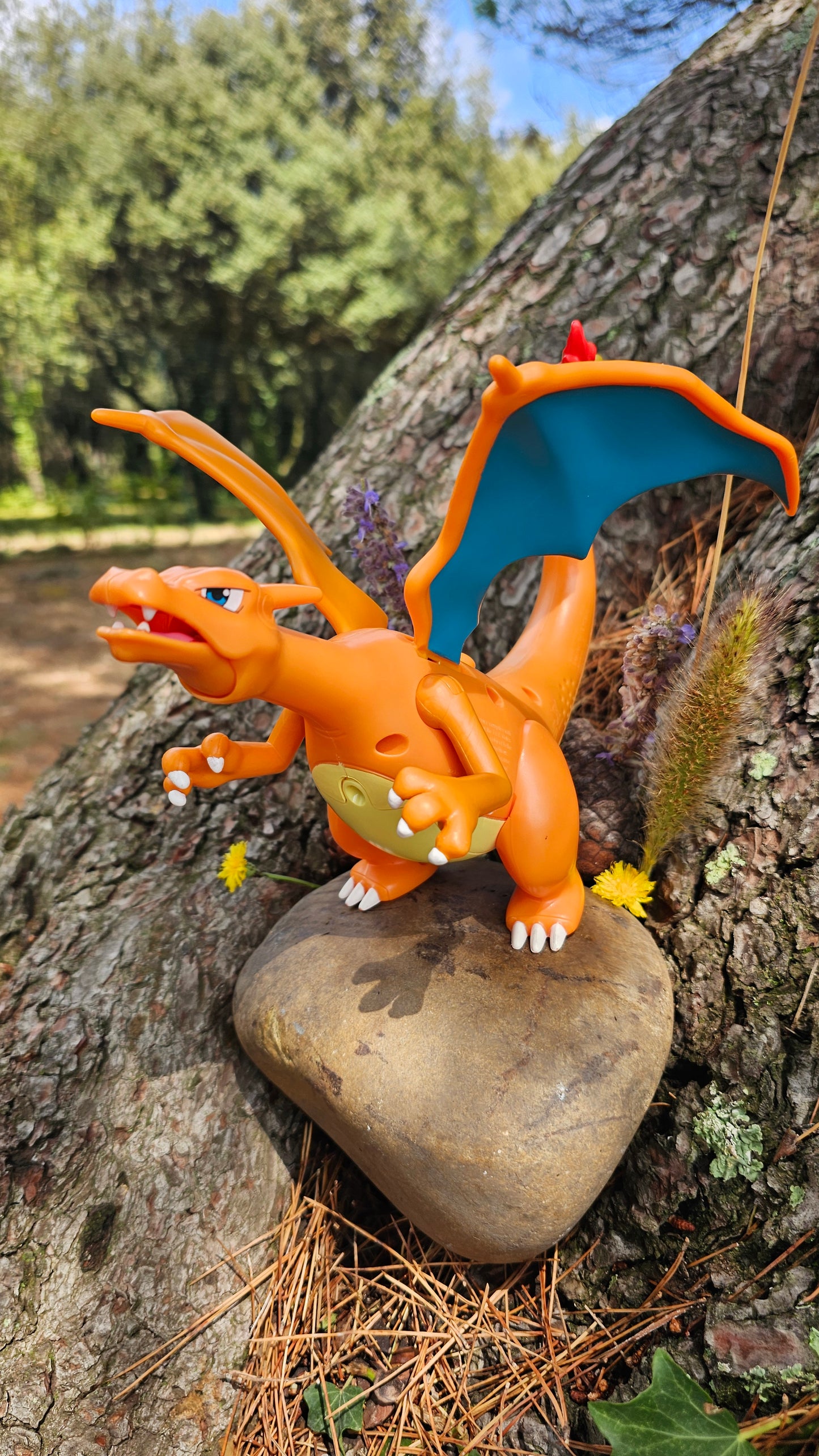Super grande figurine Pokemon Nintendo Dracaufeu