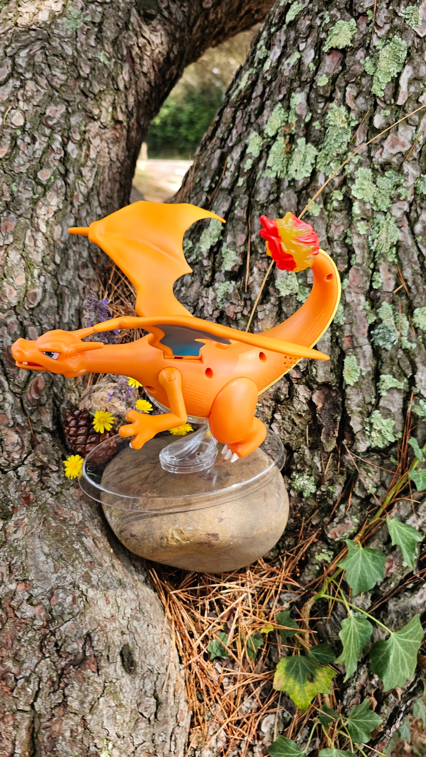 Super grande figurine Pokemon Nintendo Dracaufeu