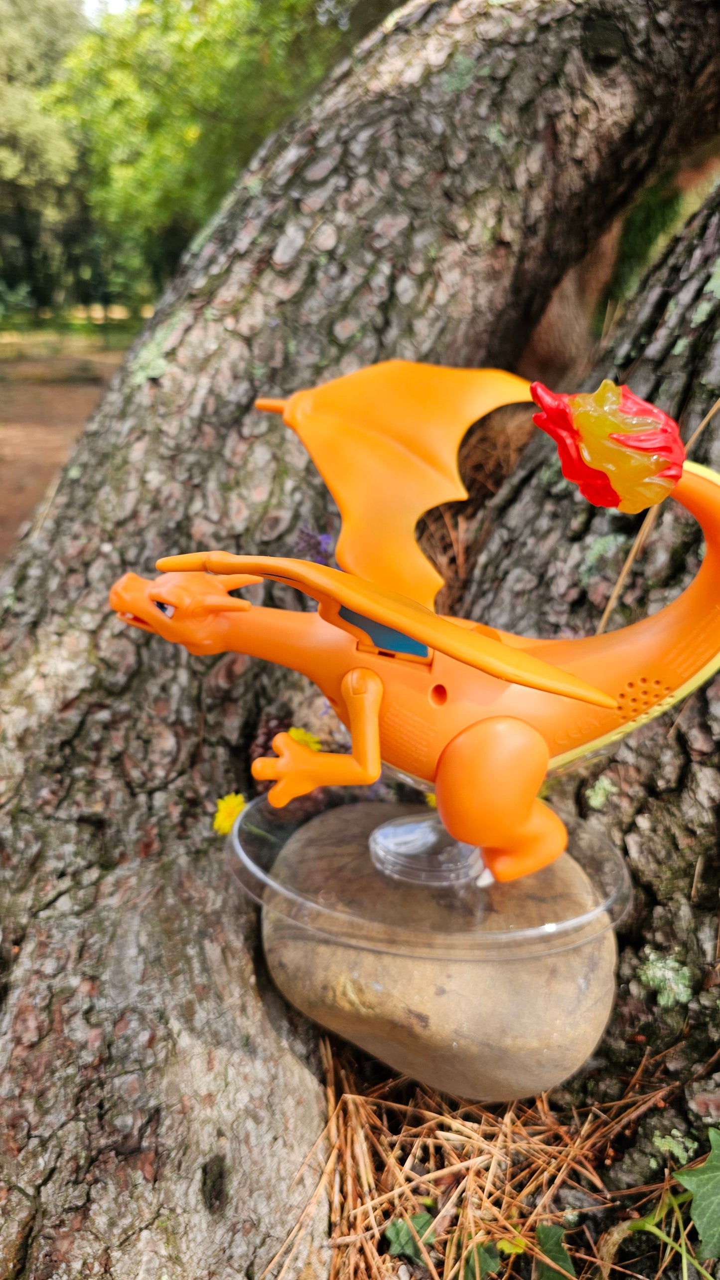 Super grande figurine Pokemon Nintendo Dracaufeu