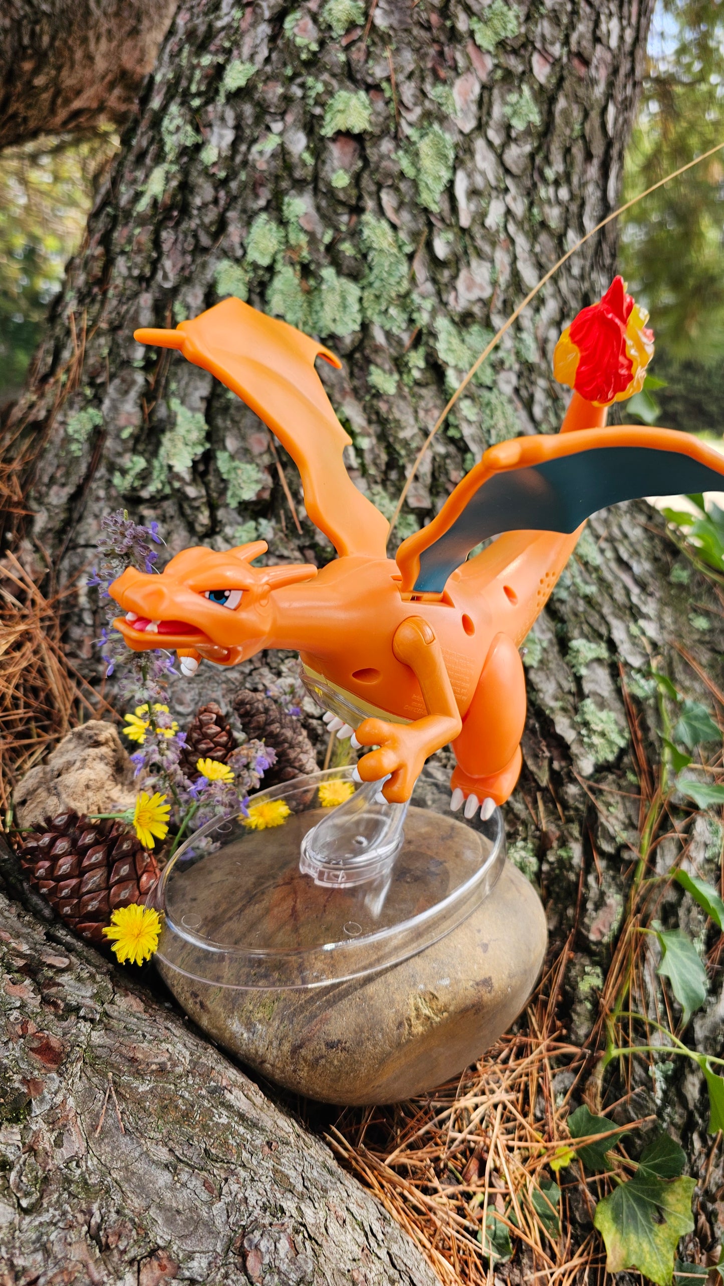Super grande figurine Pokemon Nintendo Dracaufeu