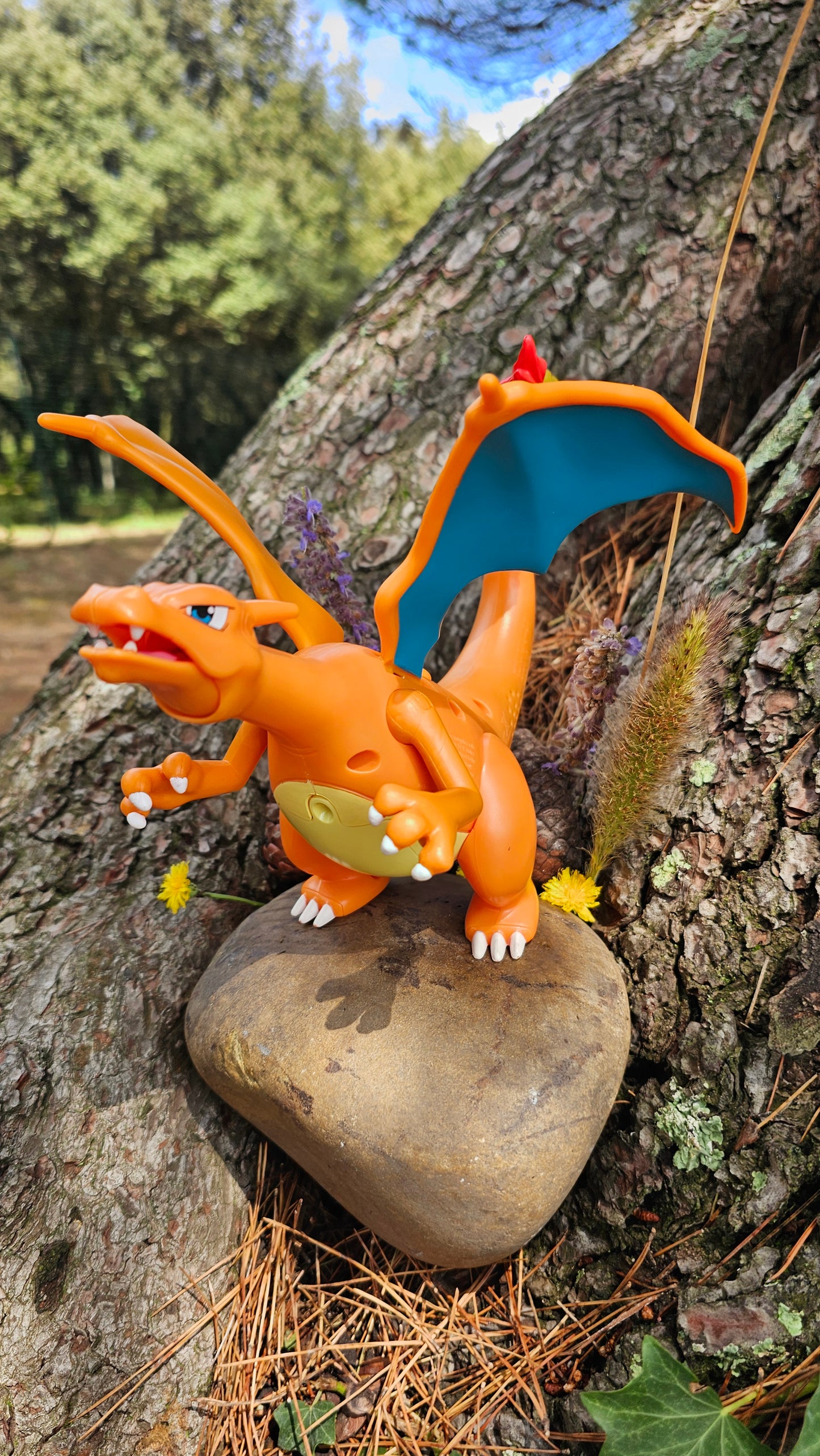 Super grande figurine Pokemon Nintendo Dracaufeu