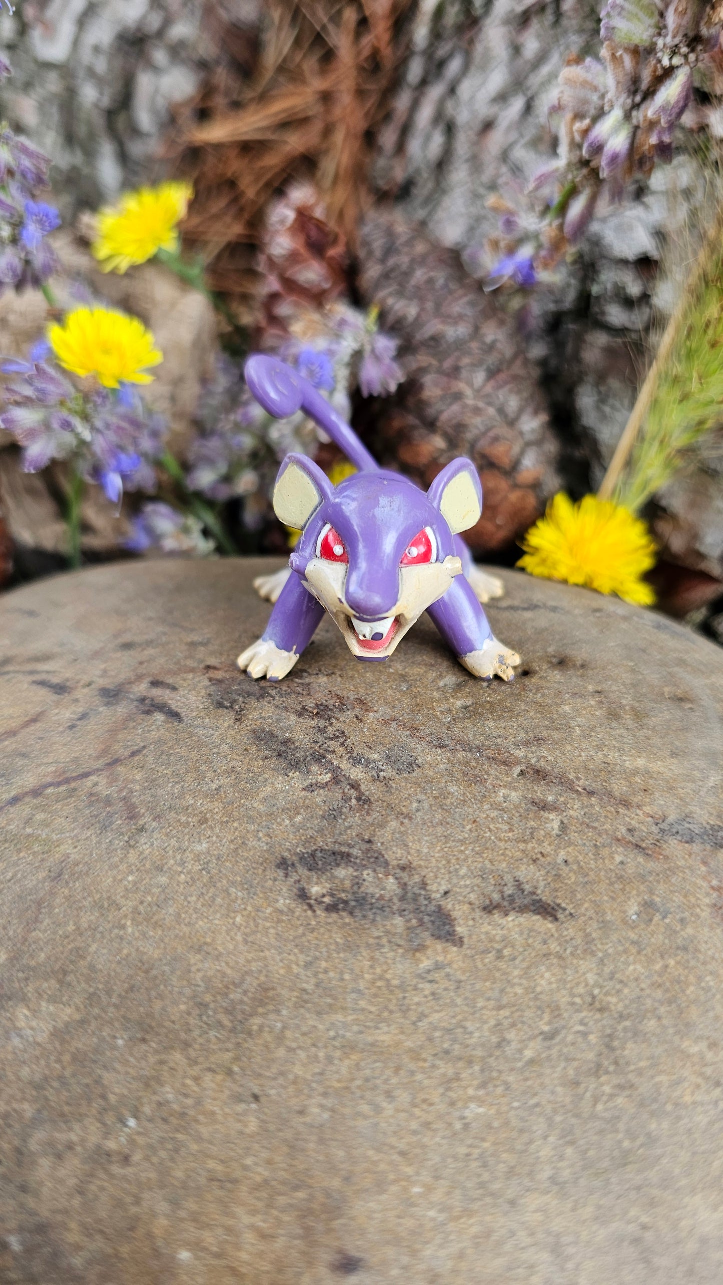Super figurine Pokemon Nintendo tomy C.G.T.S.J rattata