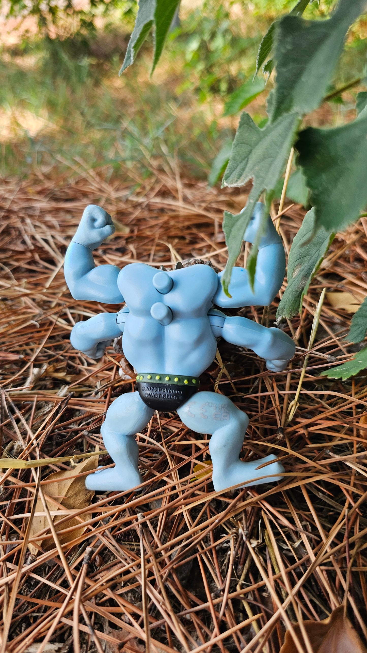 Super figurine Pokemon Nintendo mackogneur