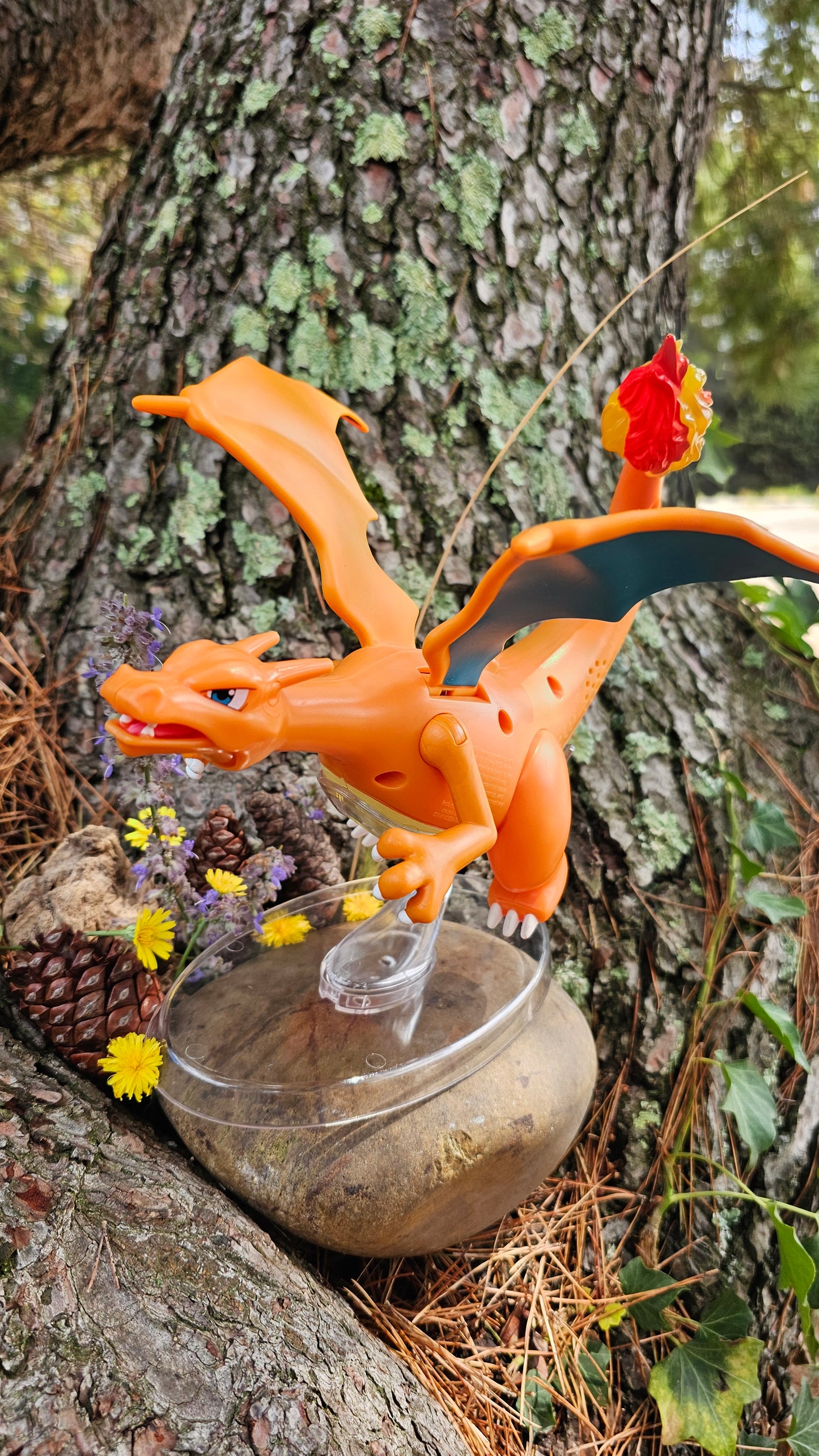 Super grande figurine Pokemon Nintendo Dracaufeu