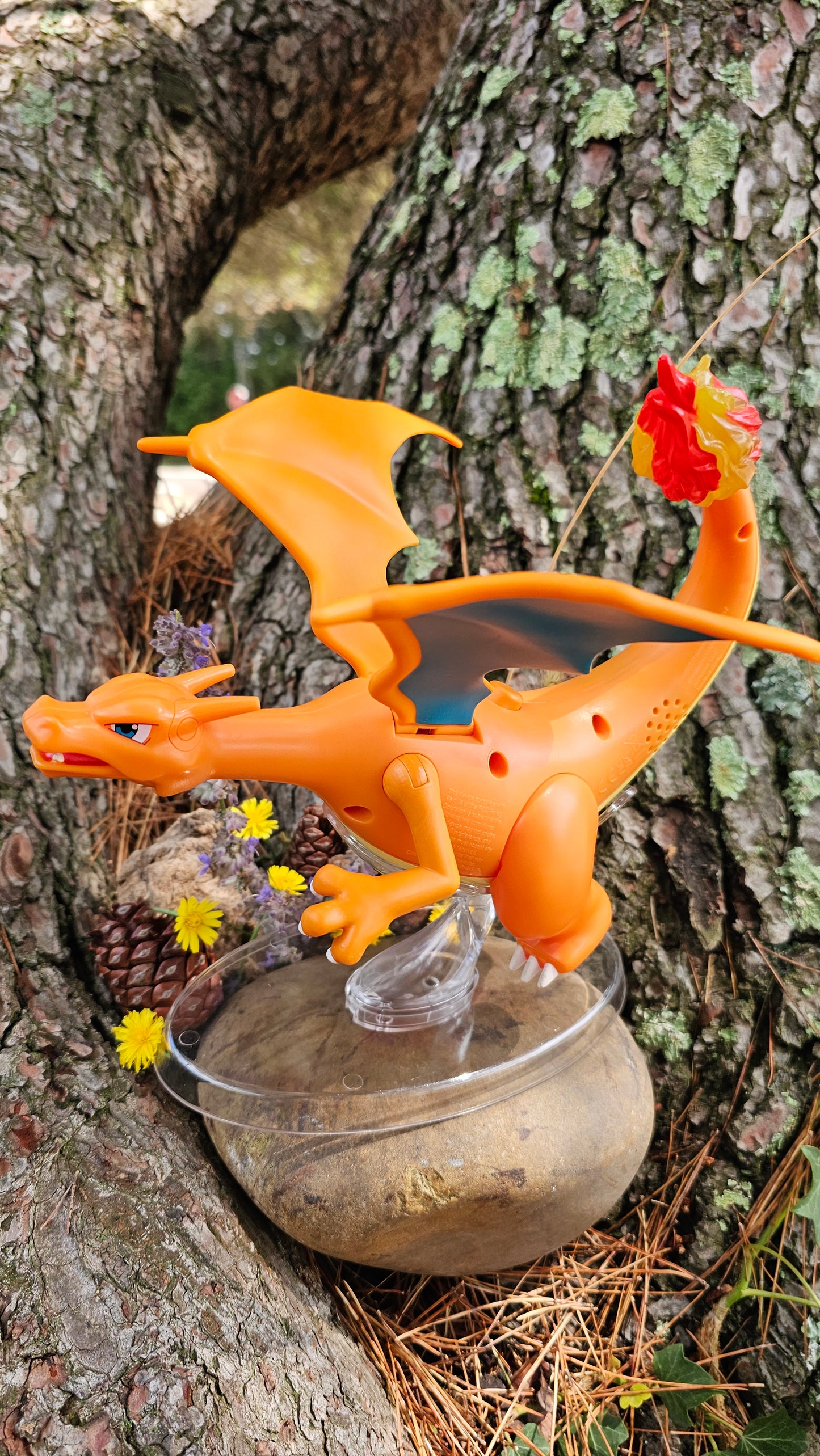 Super grande figurine Pokemon Nintendo Dracaufeu
