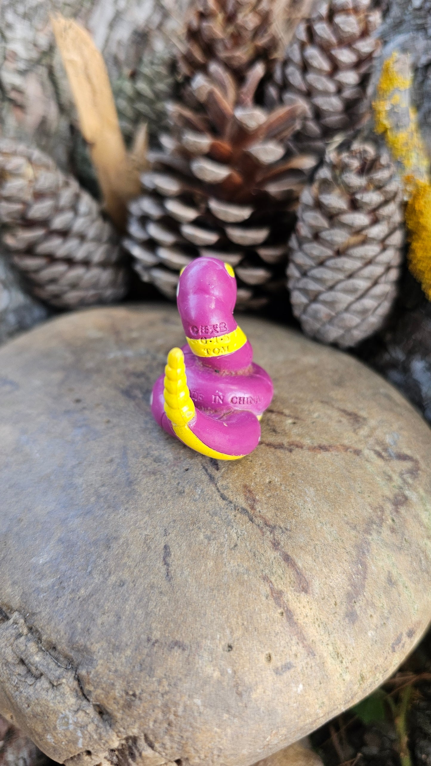 Figurine Pokemon Nintendo tomy C.G.T.S.J Abo