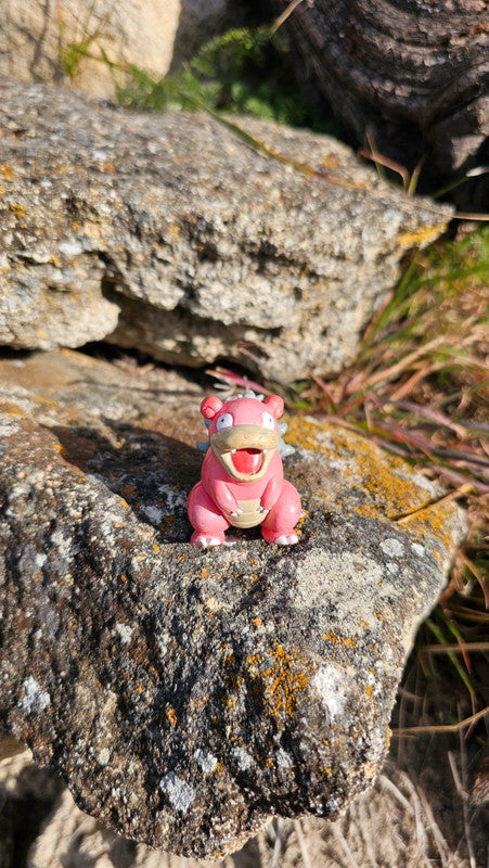 Super figurine Pokemon Nintendo tomy C.G.T.S.J Roigada