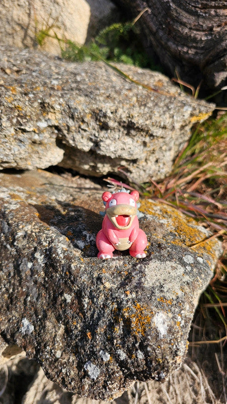 Super figurine Pokemon Nintendo tomy C.G.T.S.J Roigada