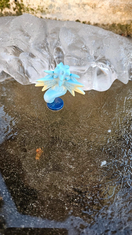 Super figurine Pokemon Nintendo tomy C.G.T.S.J hypocean