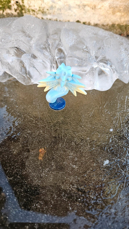Super figurine Pokemon Nintendo tomy C.G.T.S.J hypocean