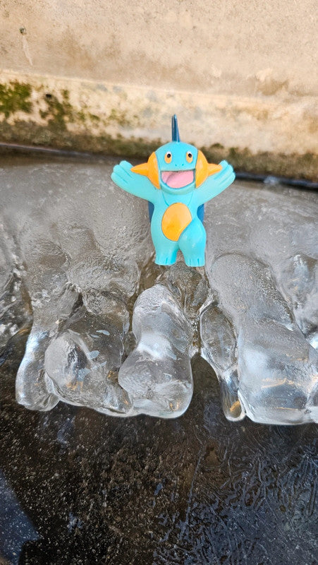 Super figurine Pokemon Nintendo Flobio
