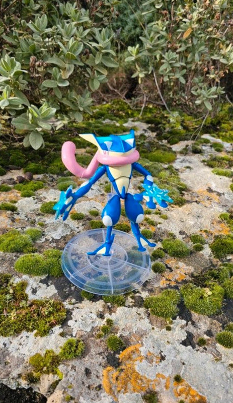 Super figurine Pokemon Nintendo Amphinobi