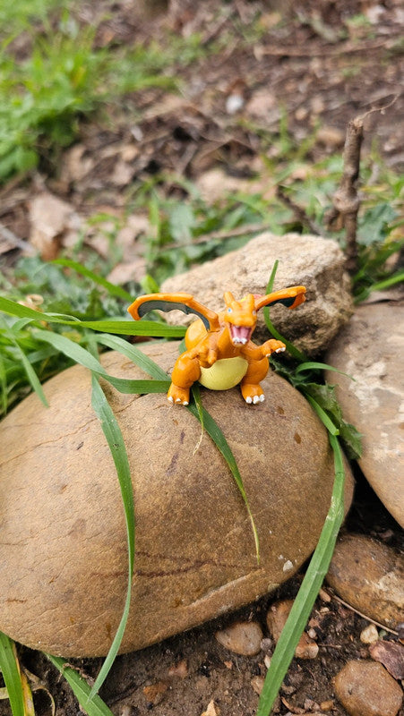 Super figurine Pokemon Nintendo Dracaufeu
