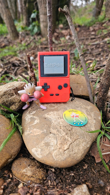 Super figurine Pokemon Nintendo tomy C.G.T.S.J tygnon