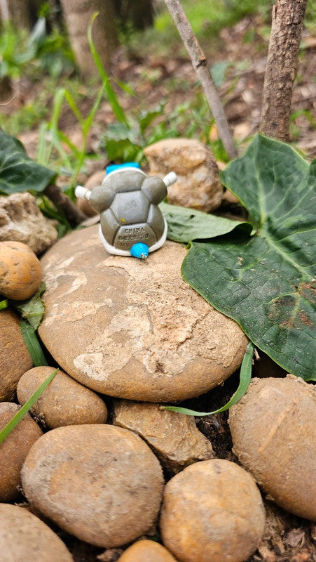 Super figurine Pokemon Nintendo tomy tortank