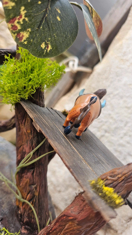 Super figurine Pokemon Nintendo tomy C.G.T.S.J tauros