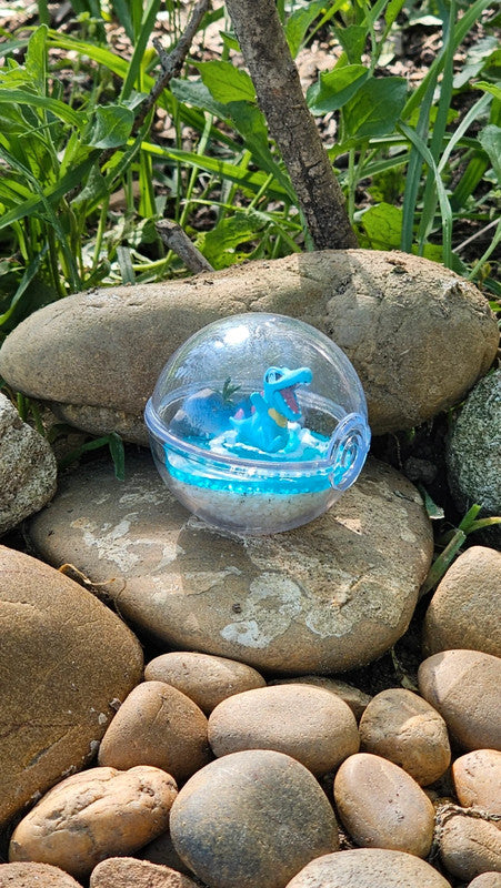 Super figurine Pokemon Nintendo style terrarium kaiminus