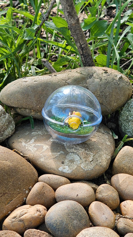Super figurine Pokemon Nintendo style terrarium pikachu