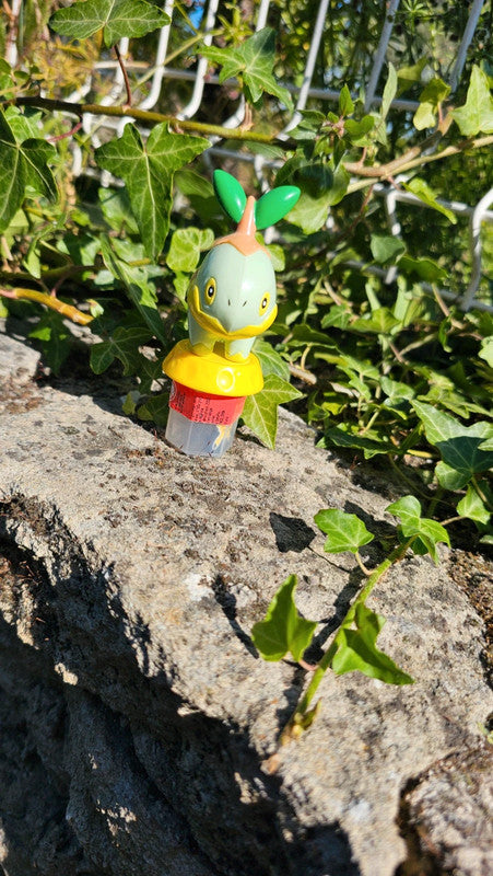 Super figurine Pokemon Nintendo tortipouss