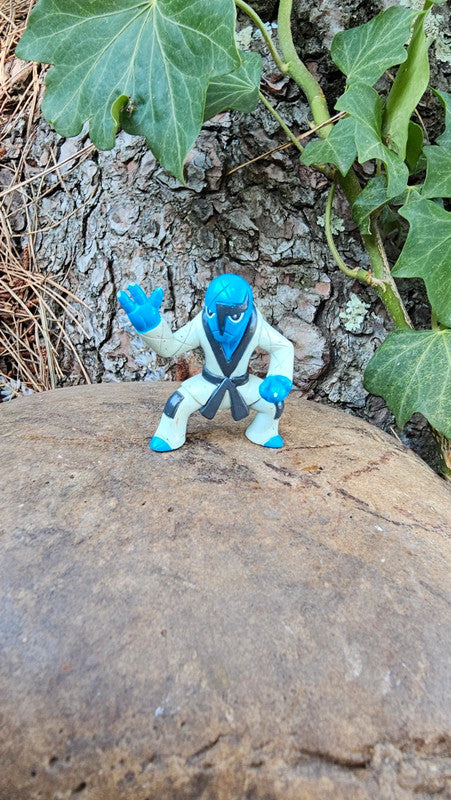 Super figurine Pokemon Nintendo tomy Karaclée