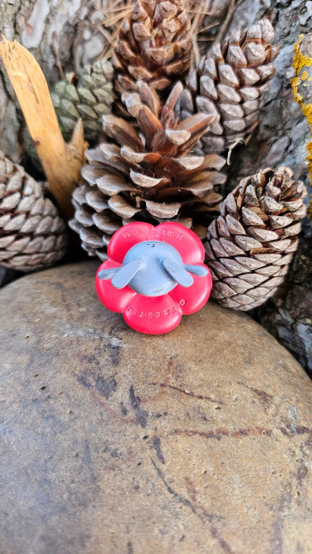 Super figurine Pokemon Nintendo tomy C.G.T.S.J rafflesia