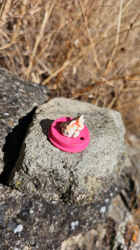 Super petite figurine Pokemon Nintendo Poissirène