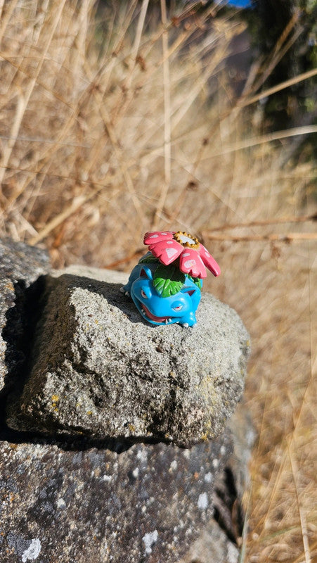 Super figurine Pokemon Nintendo Florizarre