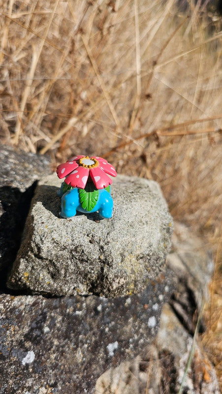 Super figurine Pokemon Nintendo Florizarre
