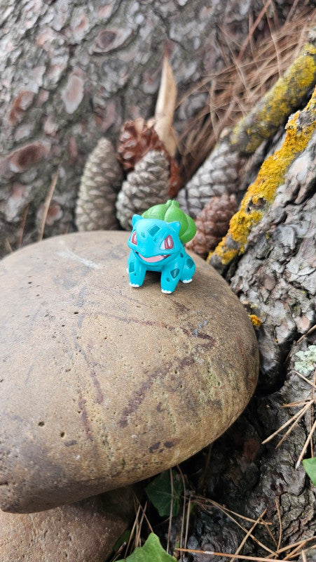Super figurine Pokemon Nintendo tomy Bulbizarre