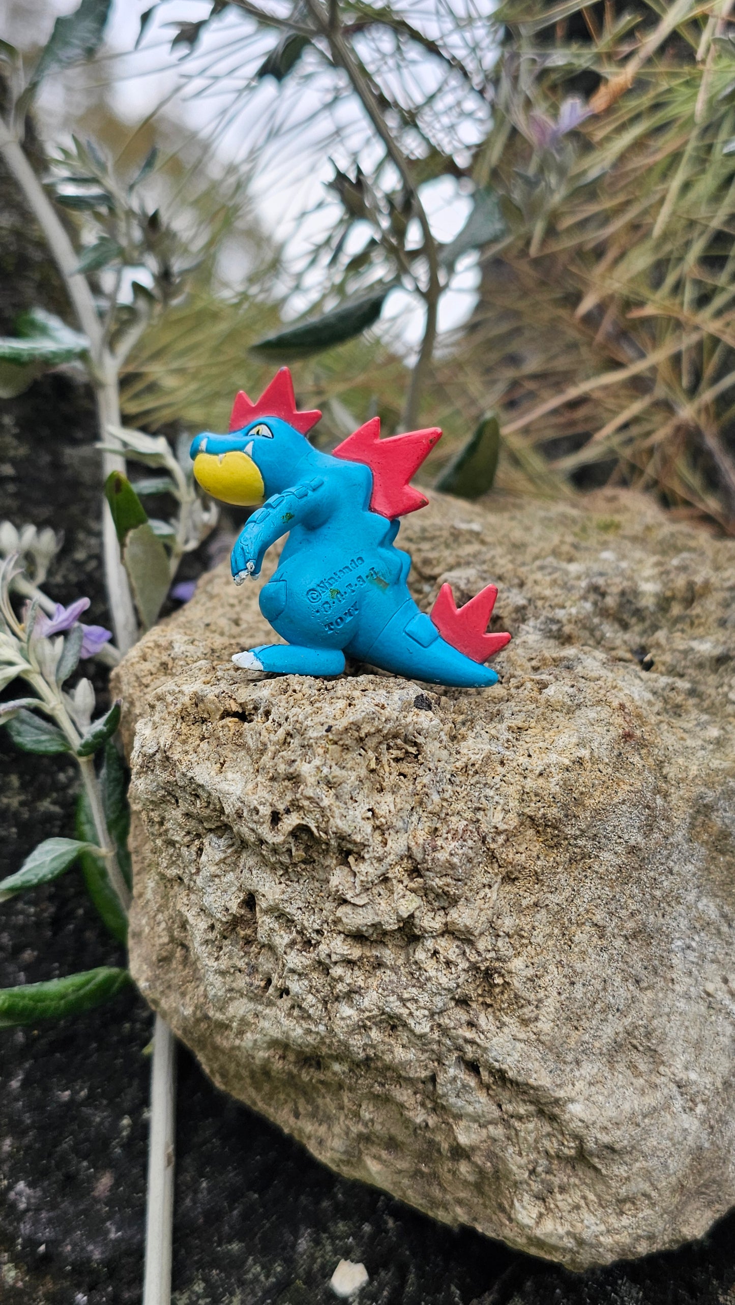 Super figurine Pokemon Nintendo tomy C.G.T.S.J Aligatueur