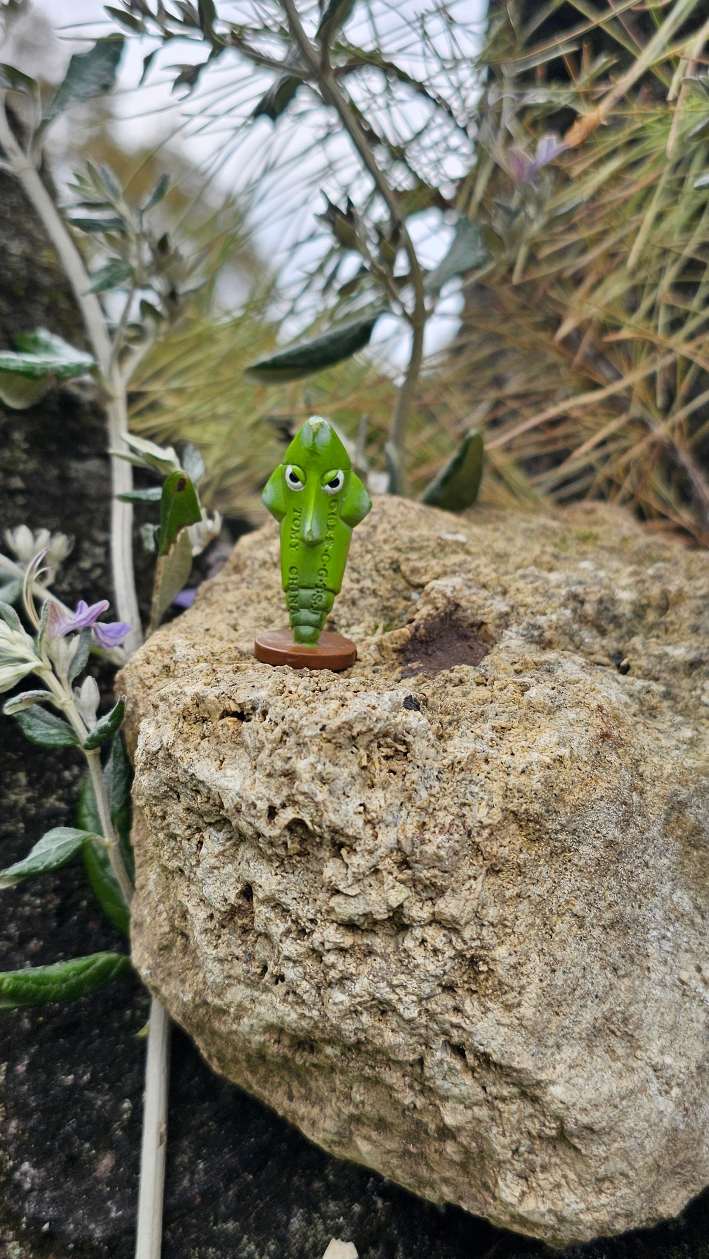 Super figurine Pokemon Nintendo tomy C.G.T.S.J chrysacier