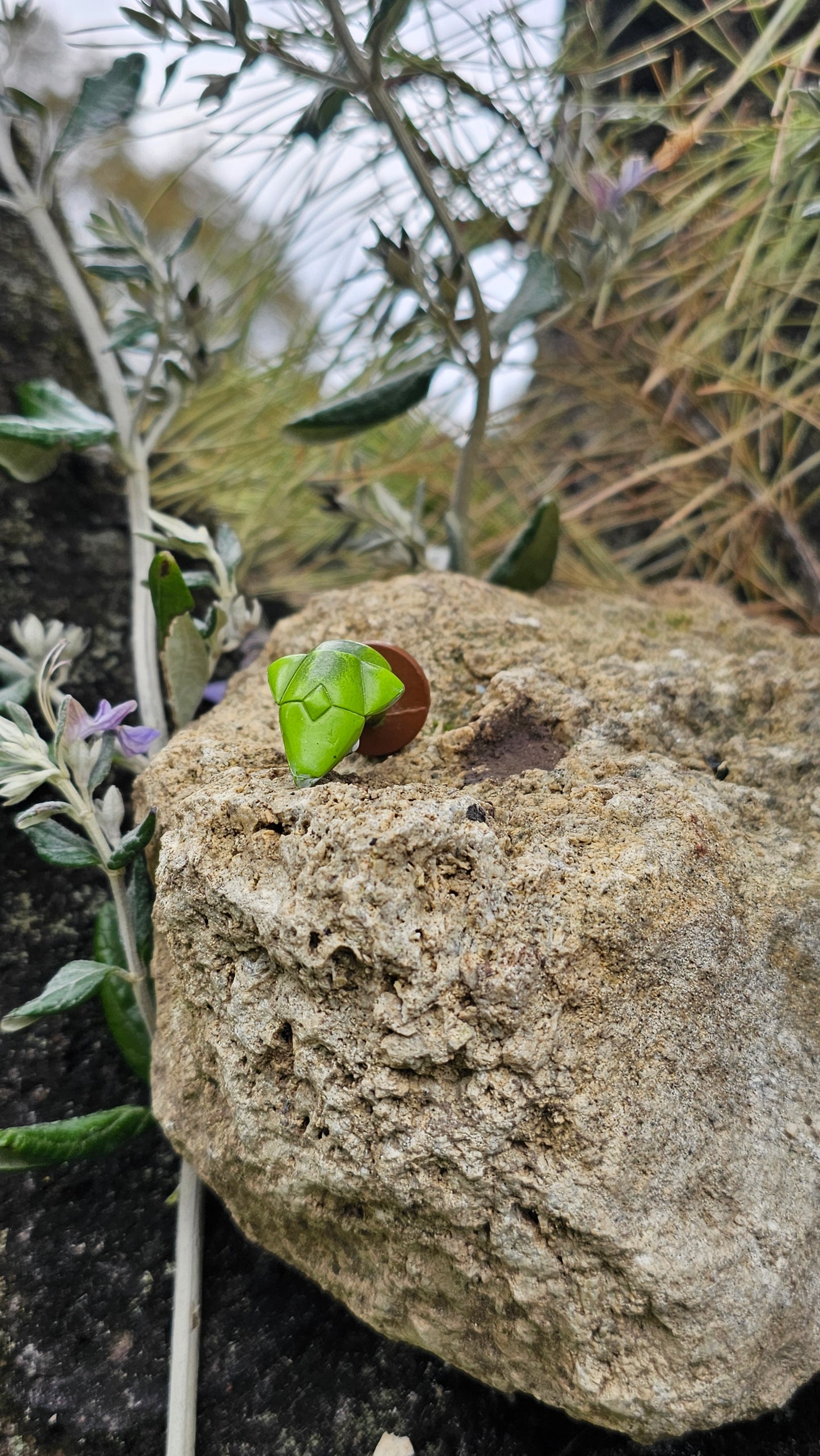 Super figurine Pokemon Nintendo tomy C.G.T.S.J chrysacier