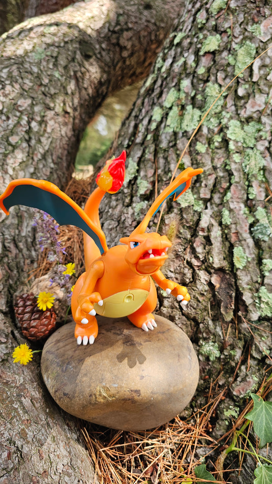 Super grande figurine Pokemon Nintendo Dracaufeu