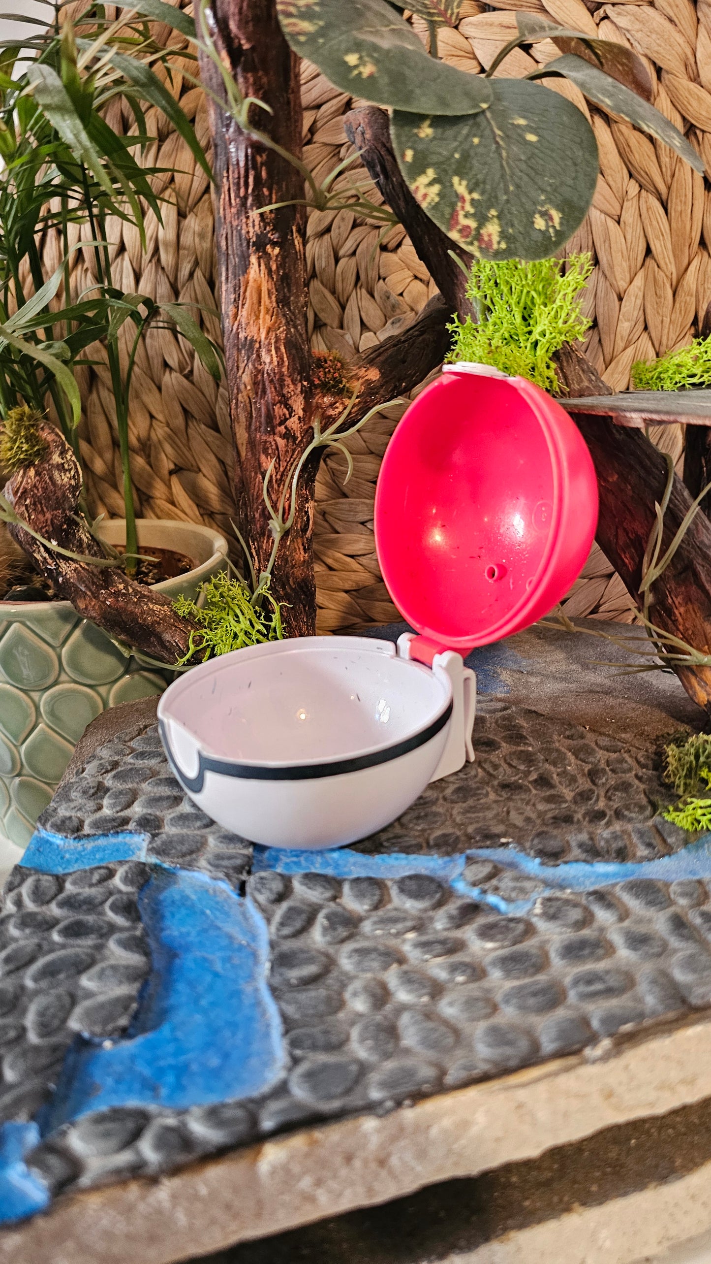 Super pokeball effet brillant clip n go pour figurine Pokemon Nintendo