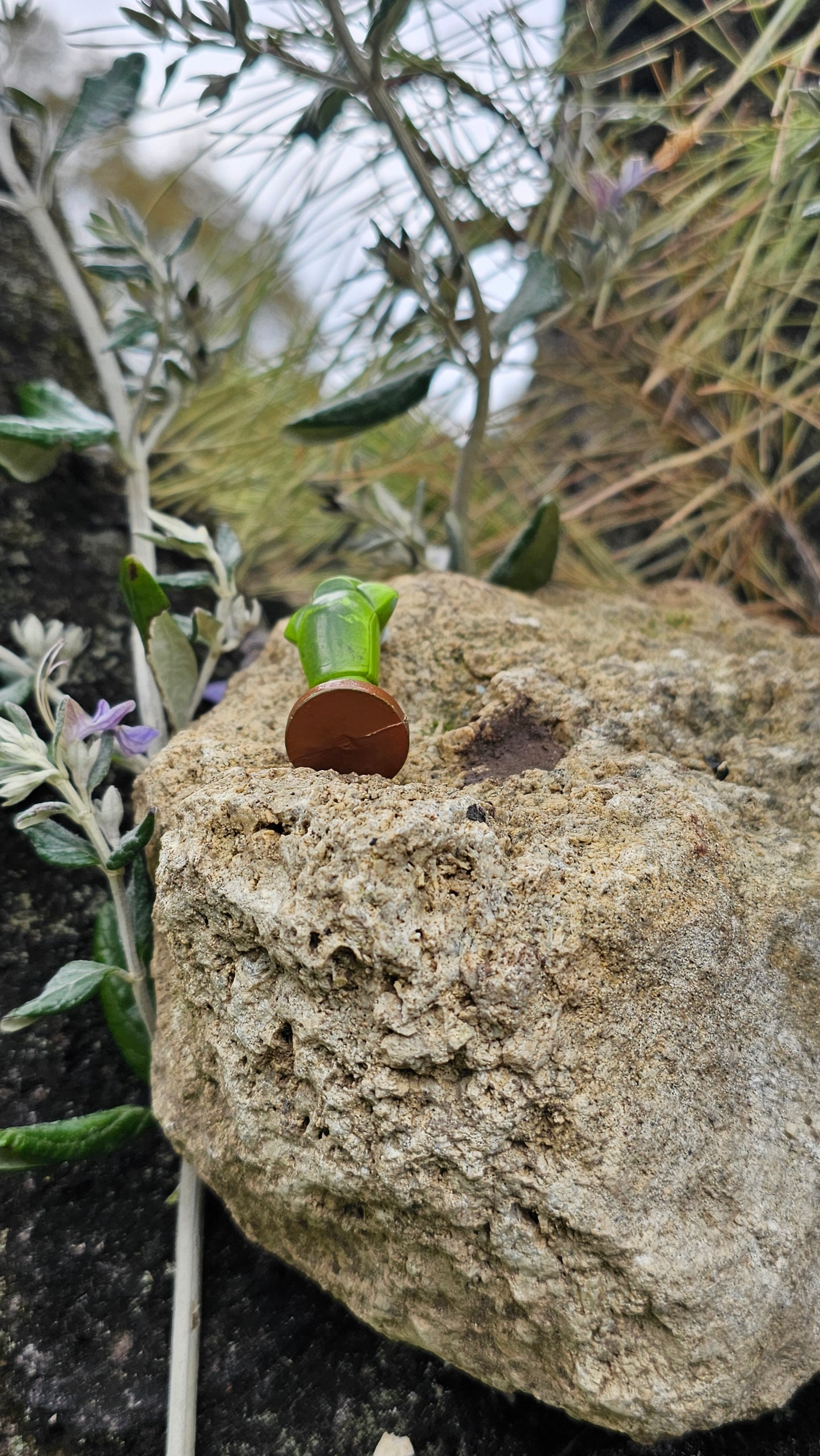 Super figurine Pokemon Nintendo tomy C.G.T.S.J chrysacier