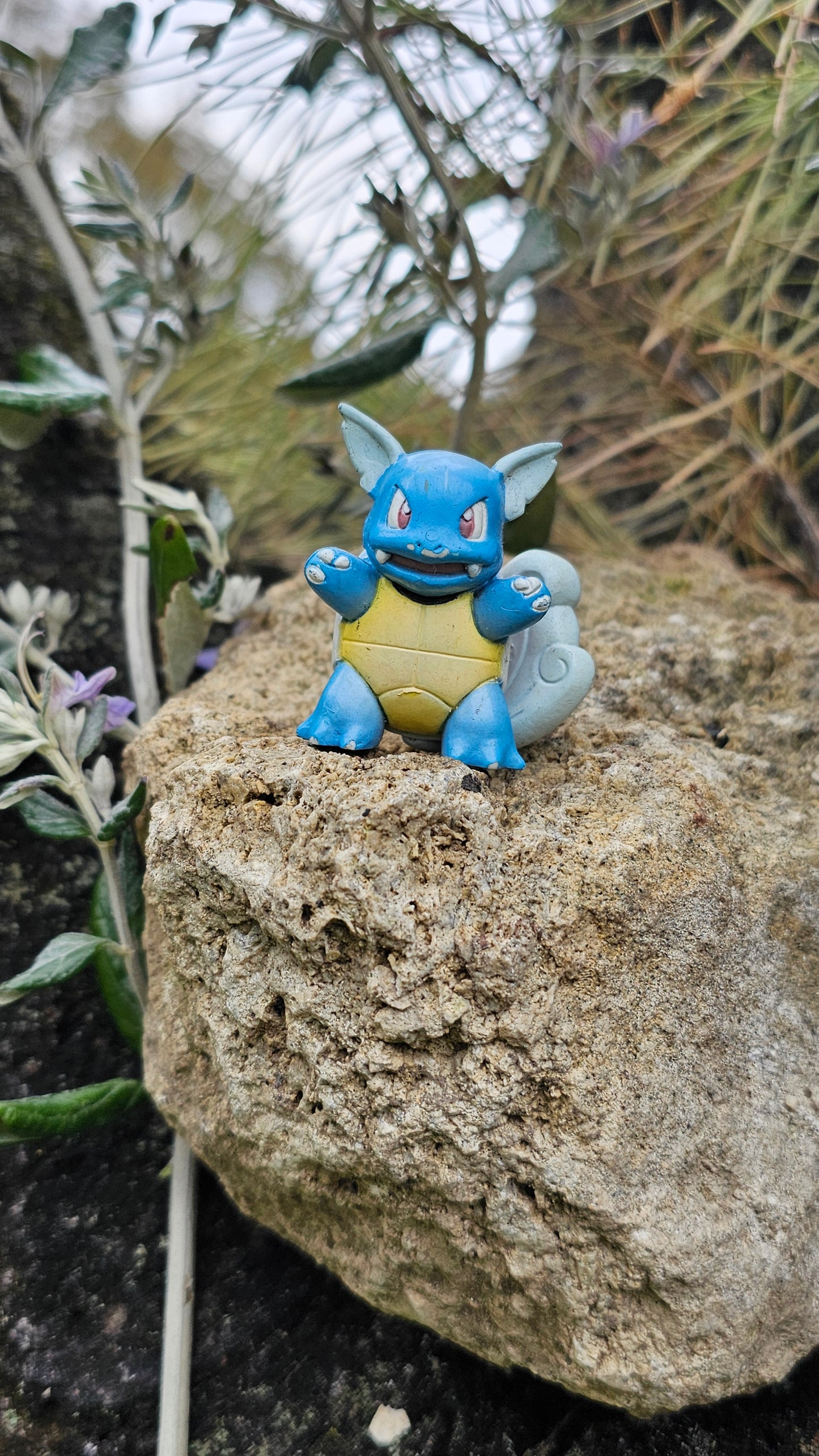 Super figurine Pokemon Nintendo tomy C.G.T.S.J Carabaffe