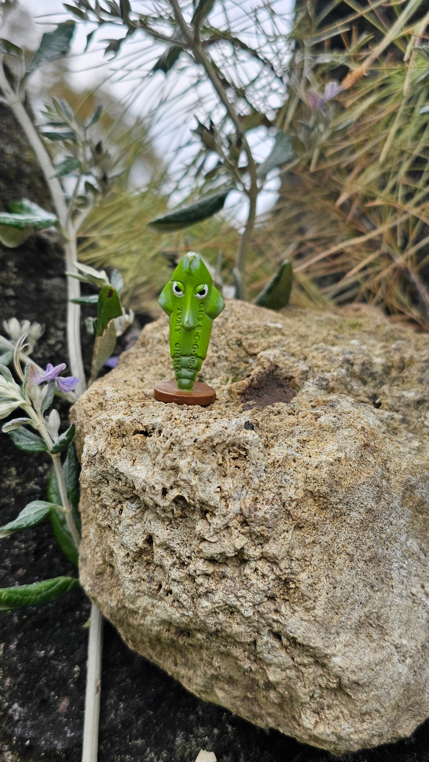 Super figurine Pokemon Nintendo tomy C.G.T.S.J chrysacier