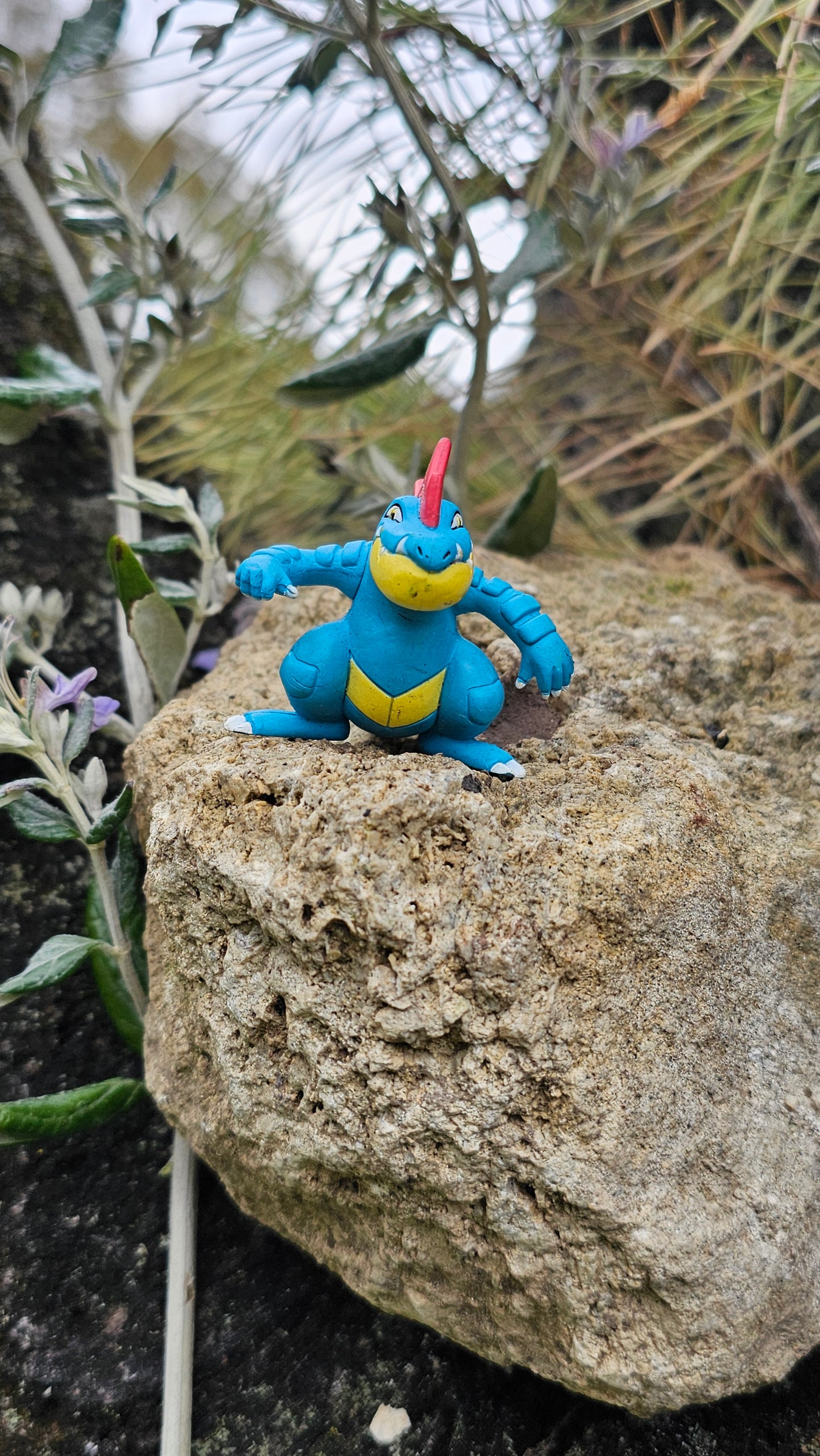 Super figurine Pokemon Nintendo tomy C.G.T.S.J Aligatueur