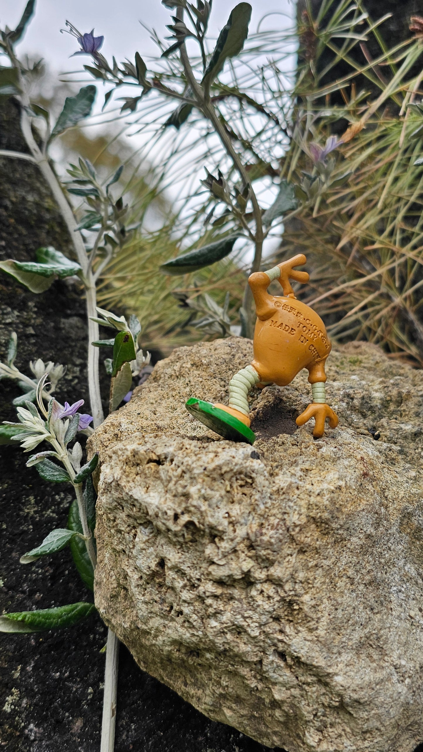 Super figurine Pokemon Nintendo tomy C.G.T.S.J Keakle