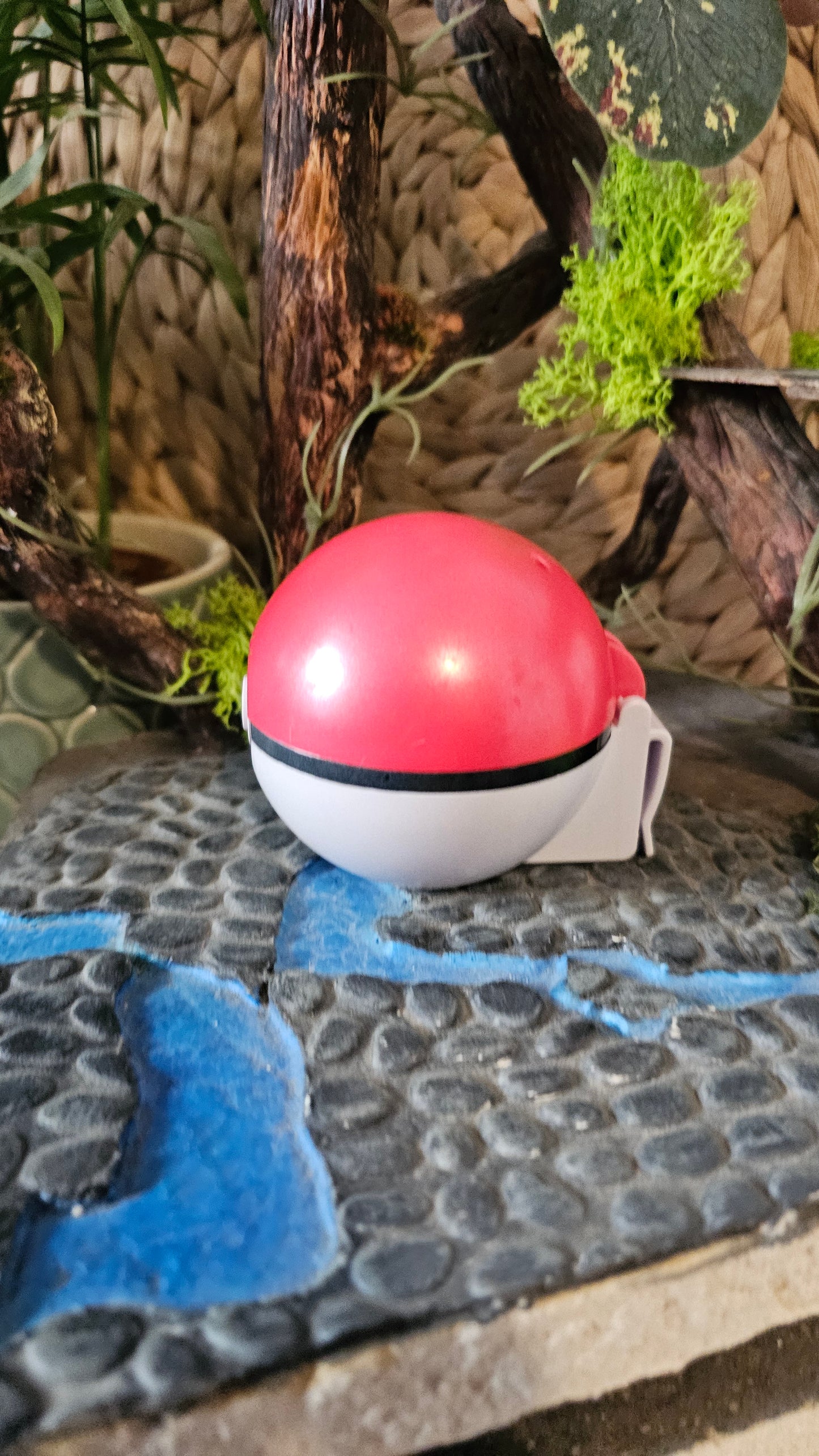 Super pokeball effet brillant clip n go pour figurine Pokemon Nintendo