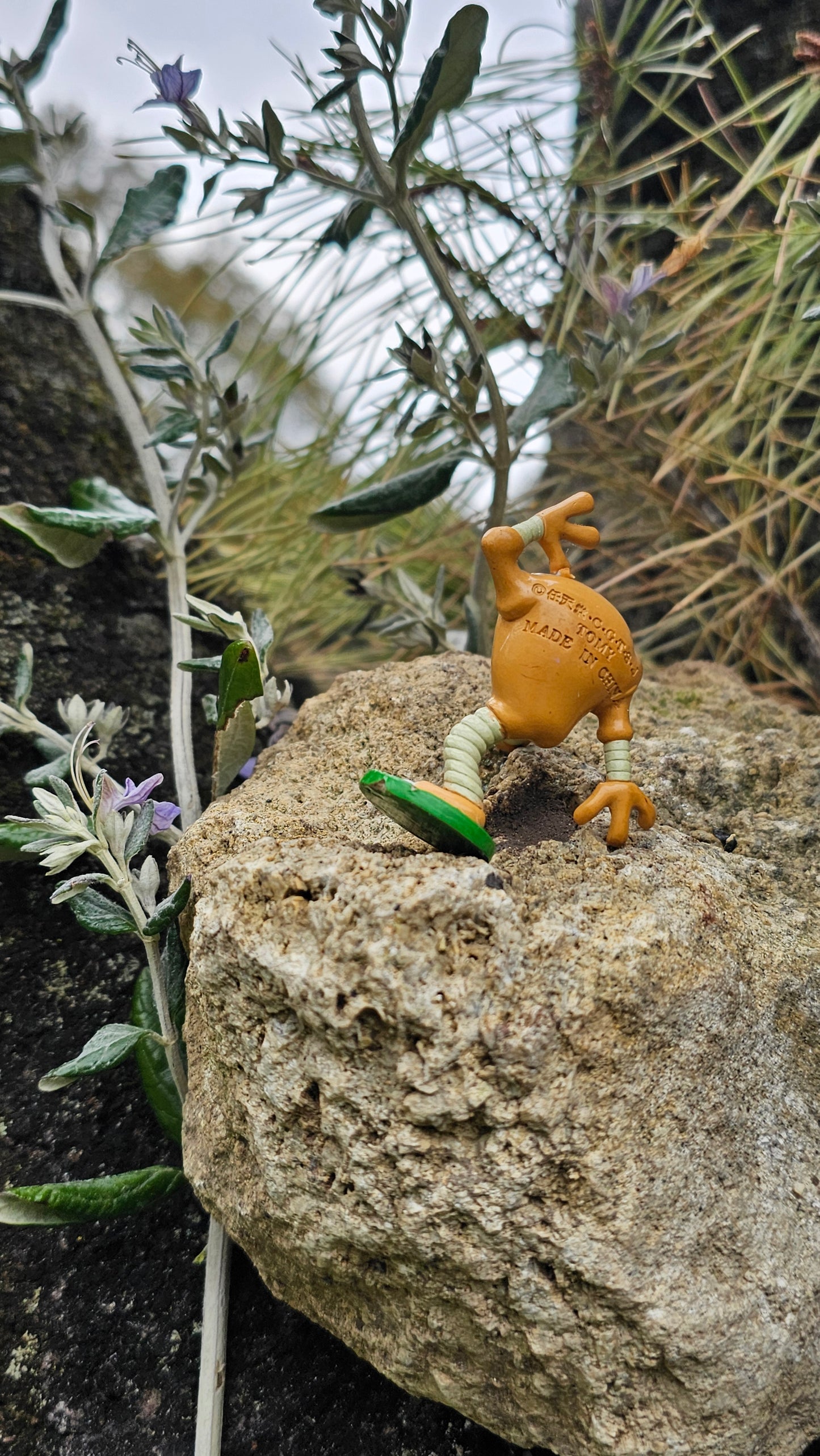 Super figurine Pokemon Nintendo tomy C.G.T.S.J Keakle