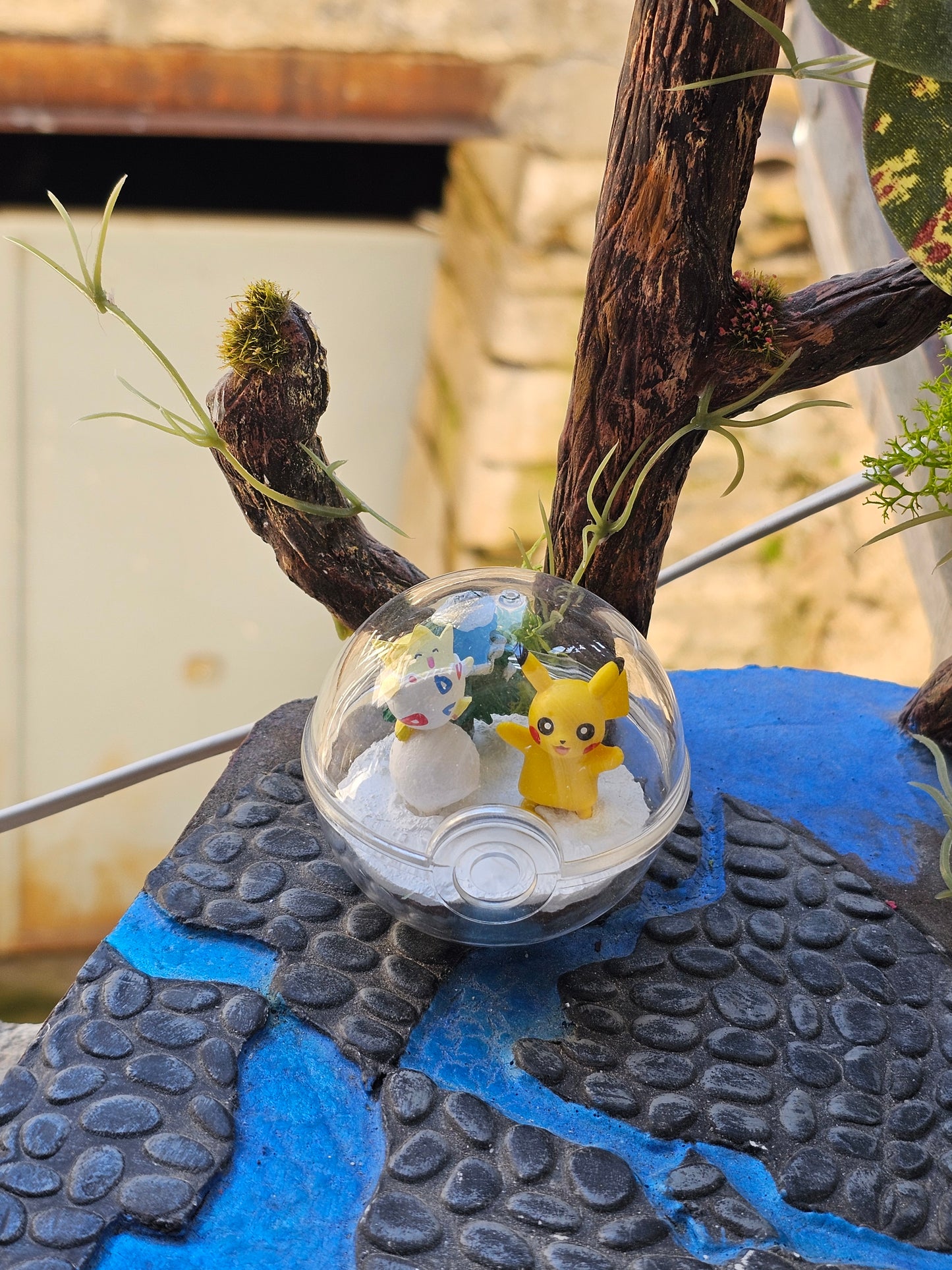 Super figurine Pokemon Nintendo style terrarium pikachu et togepi